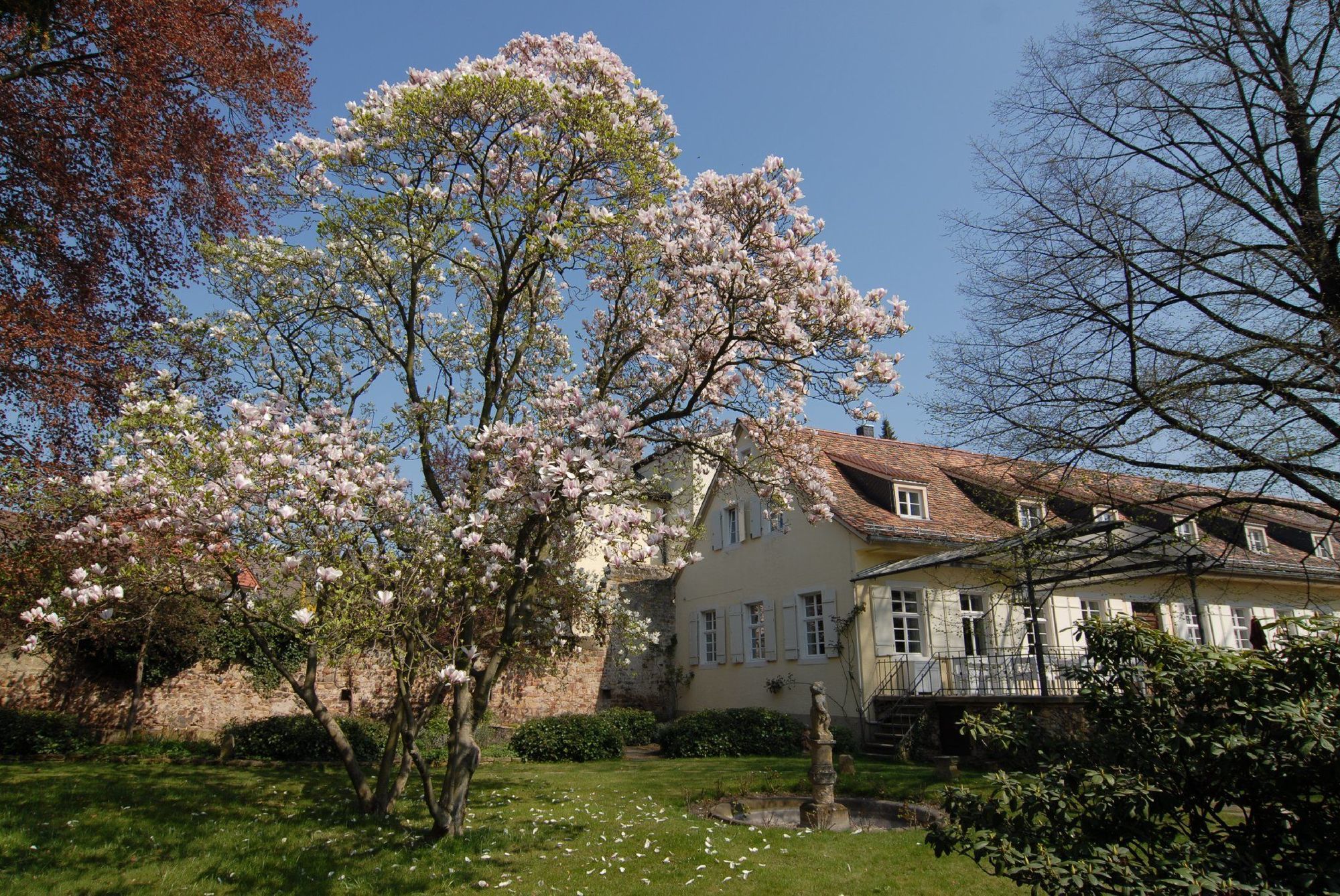 Hotel Ketschauer Hof Deidesheim Ngoại thất bức ảnh